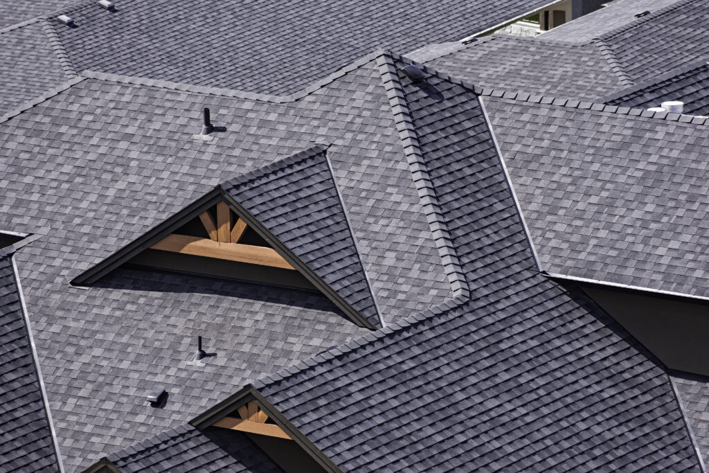 shingle-roof-intricate